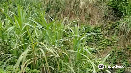 白马山第 5 张图片