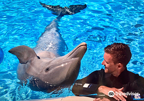 Mediterraneo Marine Park