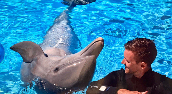 Mediterraneo Marine Park