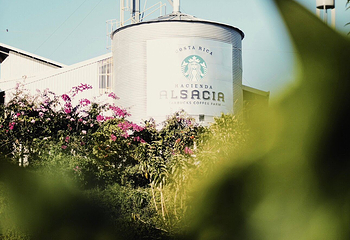 Hacienda Alsacia Starbucks Coffee Farm第 10 张图片
