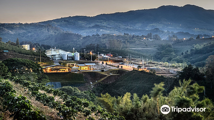 Hacienda Alsacia Starbucks Coffee Farm第 4 张图片