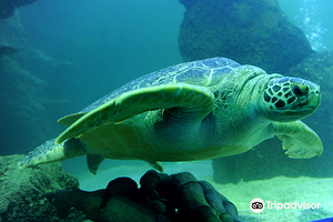 SEA LIFE Timmendorfer Strand