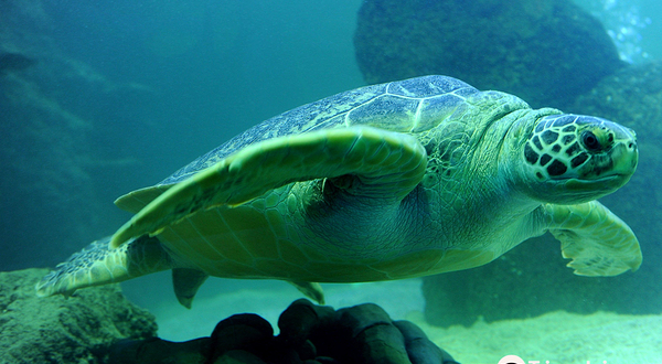SEA LIFE Timmendorfer Strand
