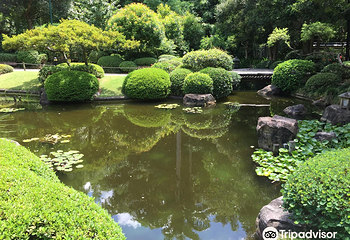 布里斯班植物园 - 库萨山第 13 张图片