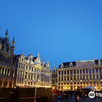 布鲁塞尔市政厅