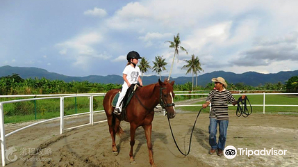 Countryside Stables Penang第 8 张图片