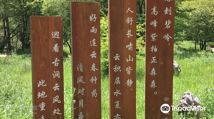 紫柏山景区第 3 张图片