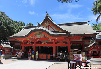 青岛神社第 6 张图片