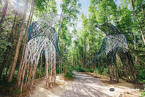 Alaska Botanical Garden