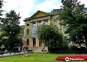 Grigore Antipa National Museum of Natural History