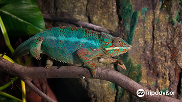 萨拉戈萨水族馆