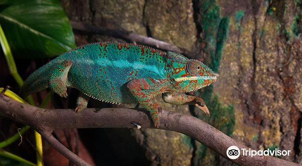 萨拉戈萨水族馆