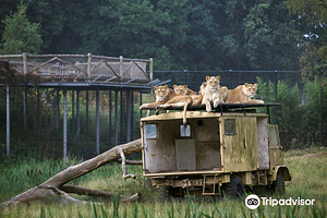 贝克塞·贝尔亨野生动物园