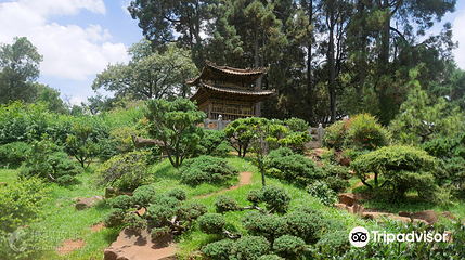 金殿风景名胜区-太和宫第 3 张图片