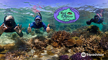 Reef Explorer Fiji