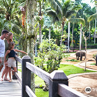 巴厘岛大象公园