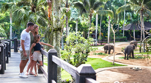 巴厘岛大象公园