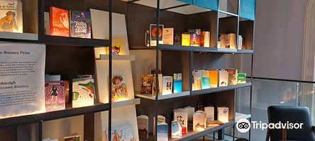 爱尔兰文学博物馆