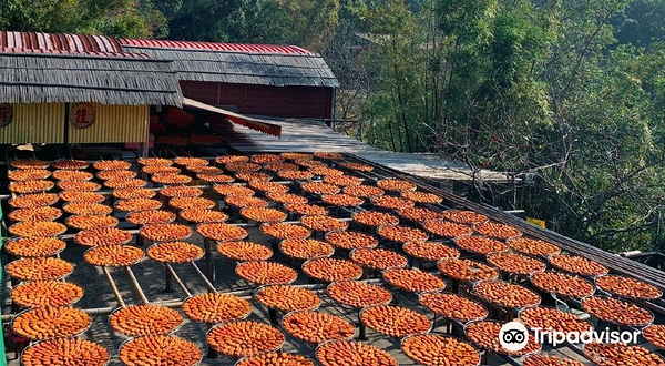 味卫佳柿饼观光农场