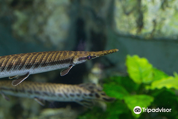 里昂水族馆第 3 张图片