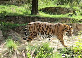 National Zoological Gardens