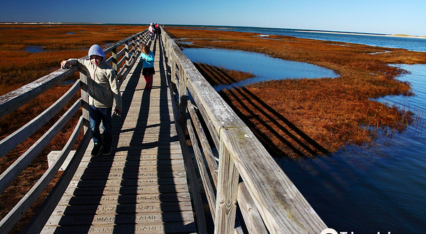 Bass Hole Boardwalk