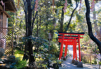 金澤神社第 5 张图片