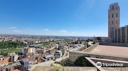 La Seu Vella第 1 张图片