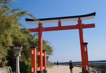青岛神社第 7 张图片