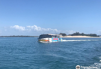 黄金海岸天堂大水鸭第 9 张图片