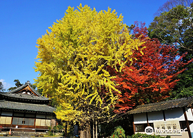 Honganji Temple Okazaki Betsuin