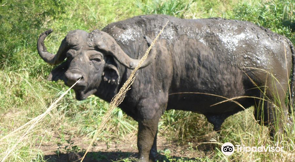 赫卢赫卢韦–印姆弗鲁兹公园