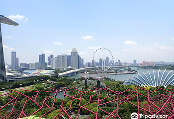 新加坡滨海湾花园第 283 张图片