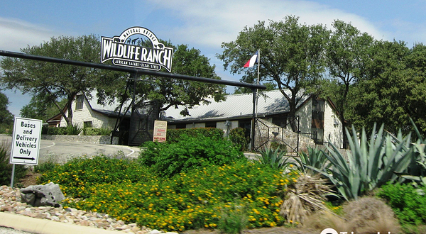 天然桥野生动物牧场