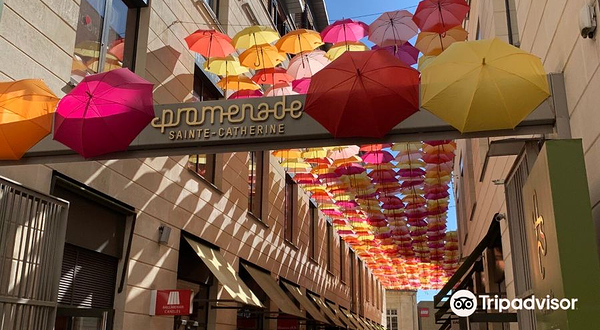 圣·凯瑟琳大街