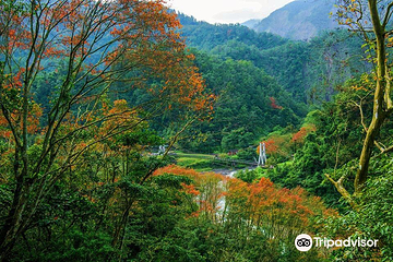 太平山森林游乐区第 5 张图片