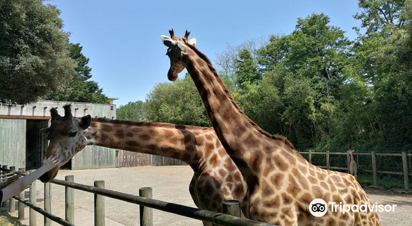 莱萨布勒多洛讷动物园