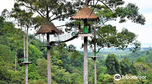 Hawk Adventure Zipline Park Koh Samui