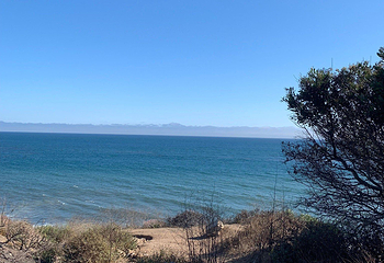 El Pescador State Beach第 6 张图片