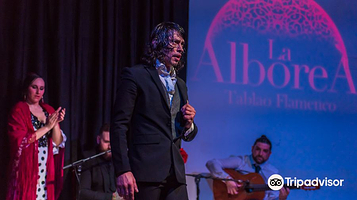 格拉纳达Tablao La Alborea 弗拉门戈表演