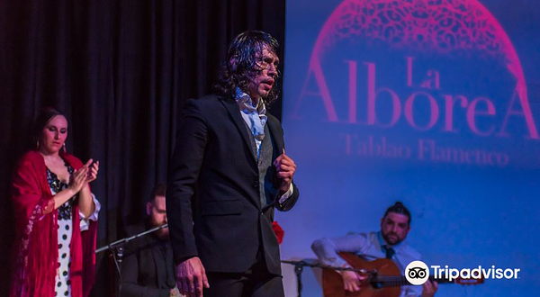 格拉纳达Tablao La Alborea 弗拉门戈表演