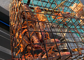 Kaikoura Fishing Charters