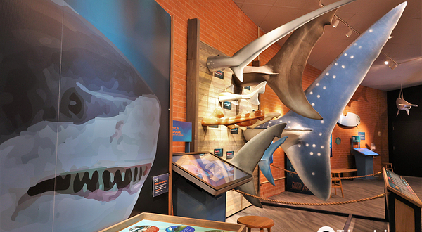 Flandrau Science Center & Planetarium