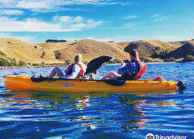 Seal Kayak Kaikoura