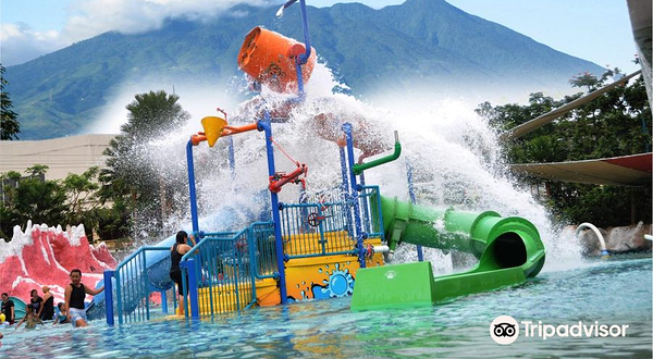 The Jungle Water Adventure