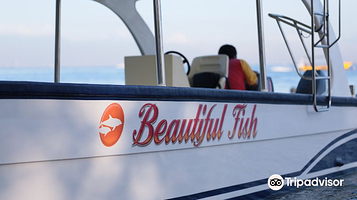 Beatiful Fish Lovina