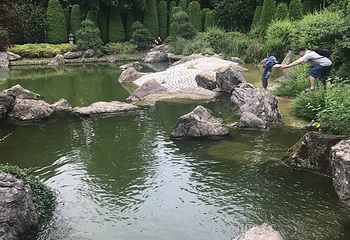 莱茵休闲公园第 9 张图片