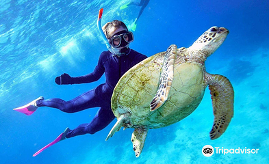梦幻丽礁号大堡礁游轮第 4 张图片