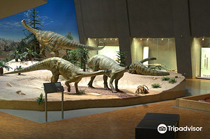 斯图加特国立自然博物馆