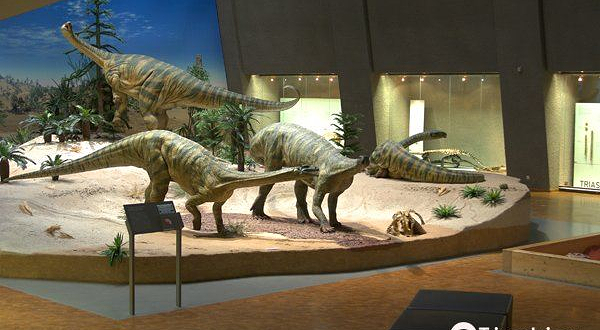 斯图加特国立自然博物馆